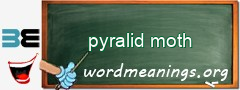 WordMeaning blackboard for pyralid moth